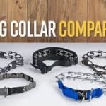 Prong Collar: The Complete Training Guide for Safe & Effective Dog Training (2025 Edition)